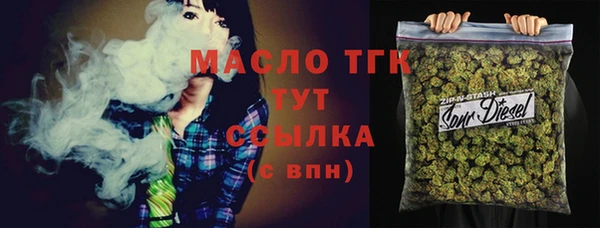 тгк Гусь-Хрустальный