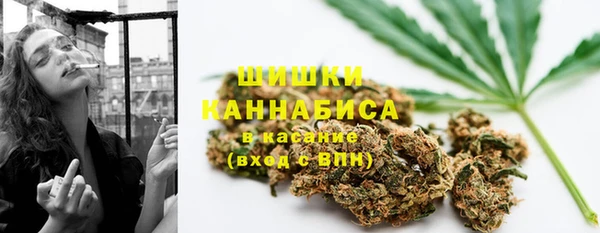 тгк Гусь-Хрустальный