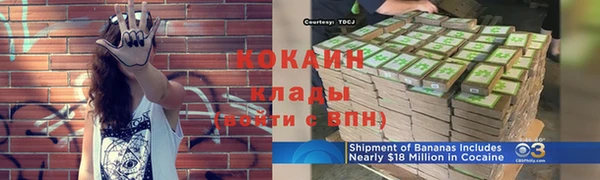 тгк Гусь-Хрустальный