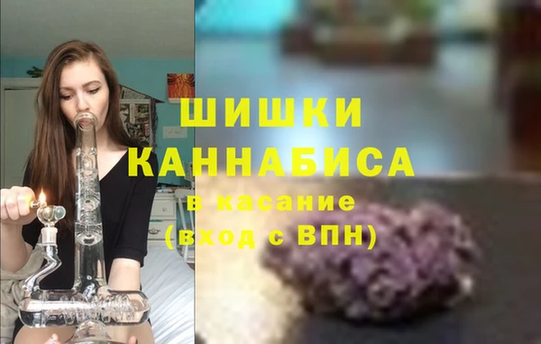 таблы Гусев