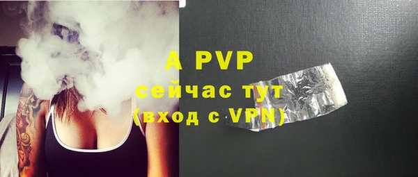 таблы Гусев