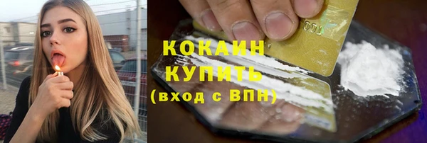 таблы Гусев