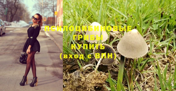 тгк Гусь-Хрустальный
