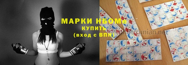 таблы Гусев