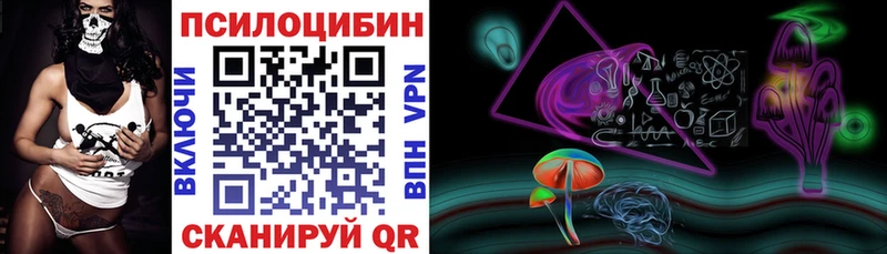 Псилоцибиновые грибы Psilocybe  закладка  Пикалёво 